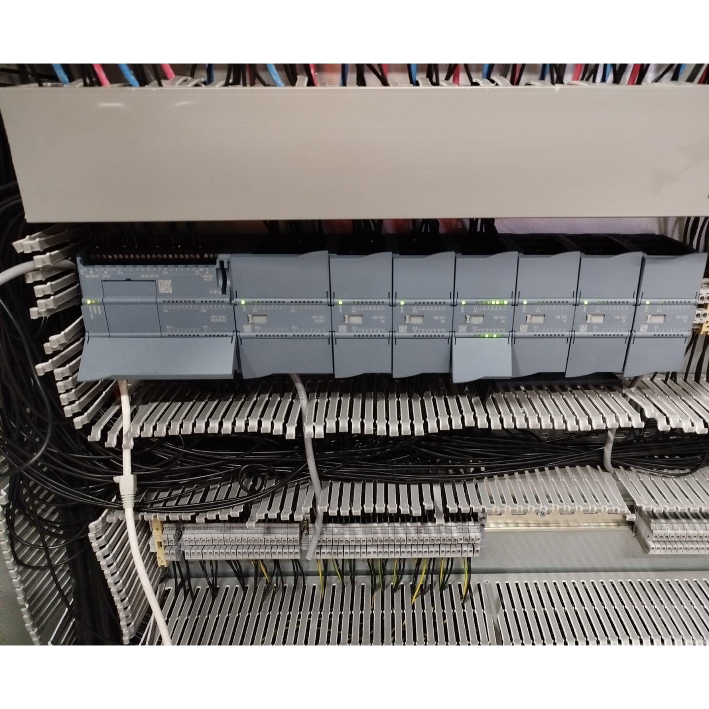 Sistema distribución y clasificación de grano - Molinera